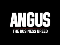 American Angus Association at Digital Animal Summit